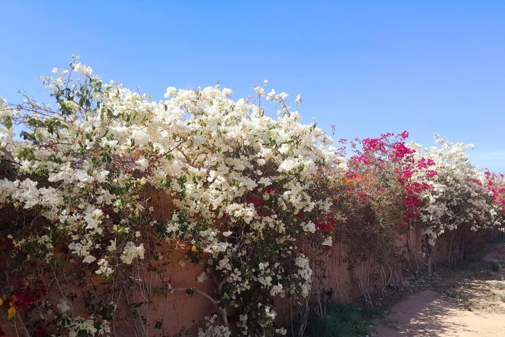 Villa Agora, Villa A La Campagne Proche Marrakech Sidi Abdallah Ghiat Εξωτερικό φωτογραφία