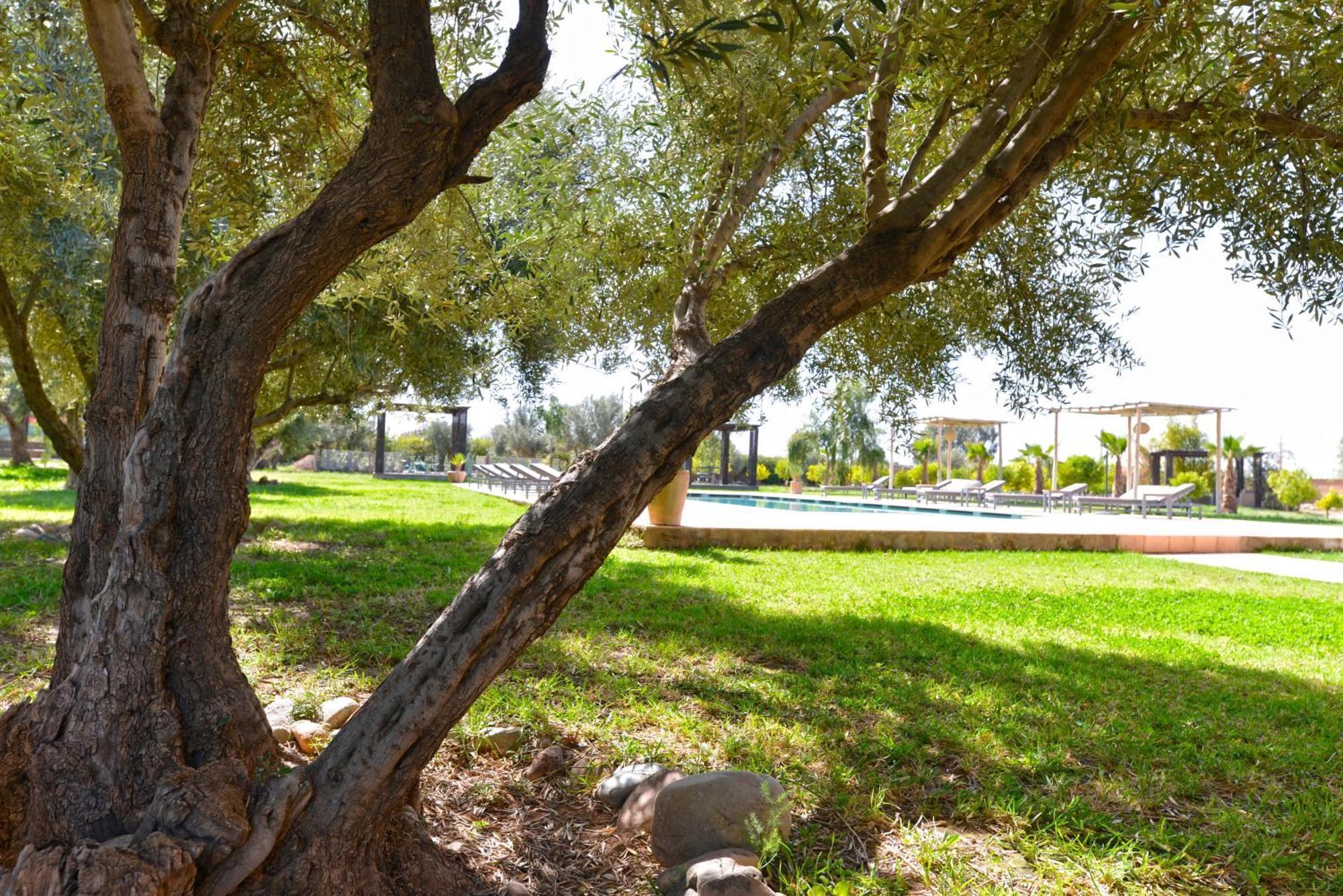 Villa Agora, Villa A La Campagne Proche Marrakech Sidi Abdallah Ghiat Εξωτερικό φωτογραφία